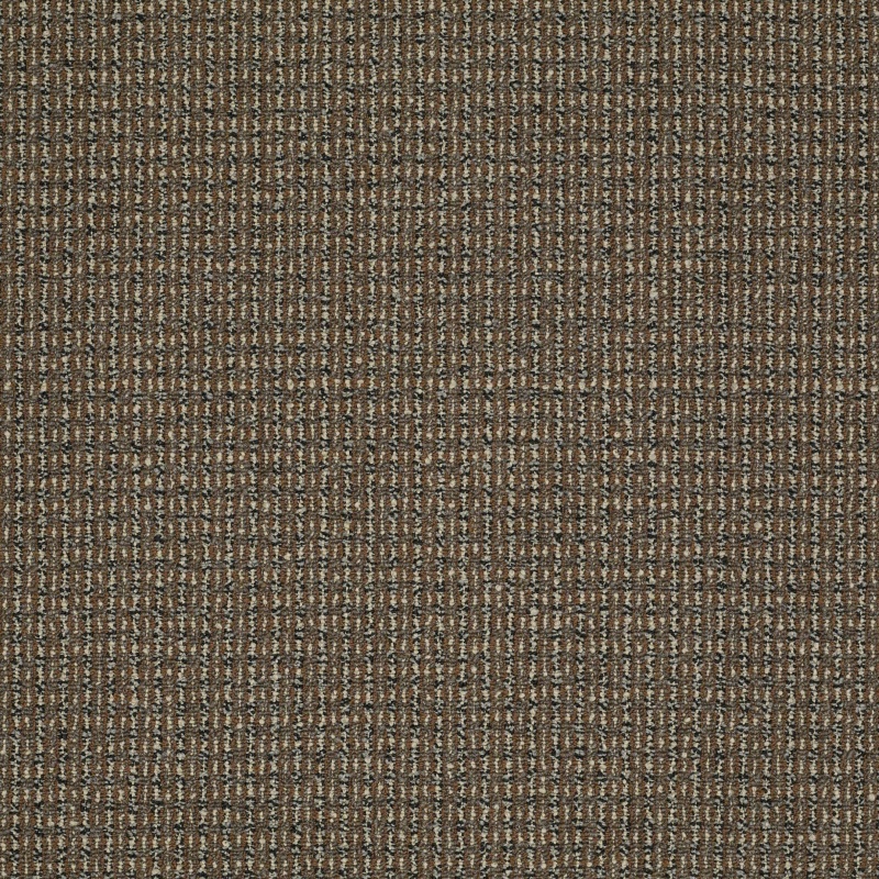 Sourcebook Iii On Move That's The Idea Nylon Carpet - Textured