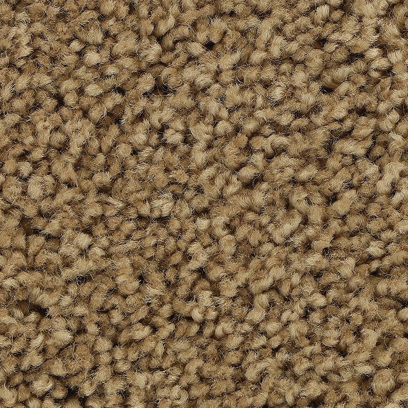 Soft Outlook Artisan Hue Polyester Carpet - Textured