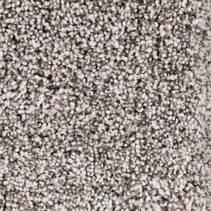 Seaside Big Sur Textured Polypropylene Carpet