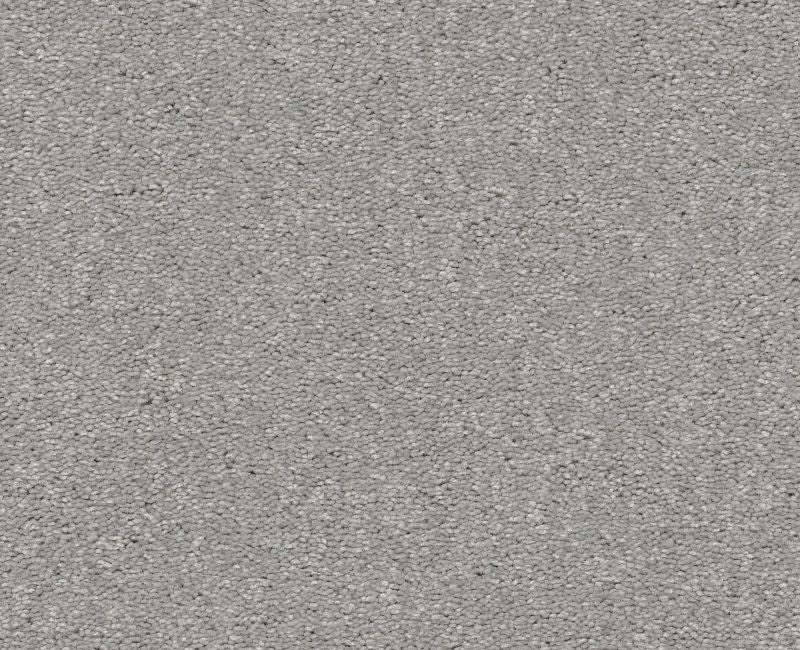 Finders Keepers Platinum Polyester Carpet - Loop
