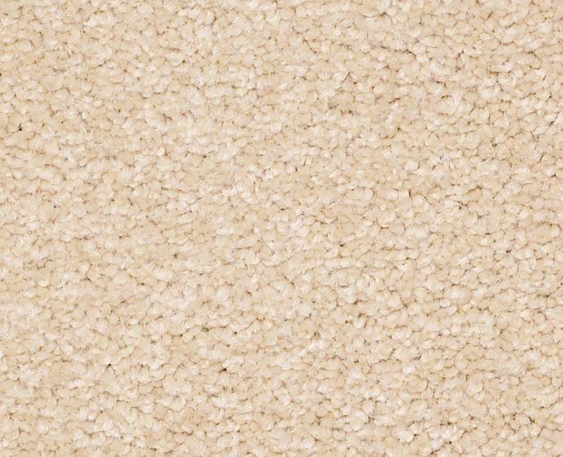 Qs159 12' Marzipan Nylon Carpet - Textured
