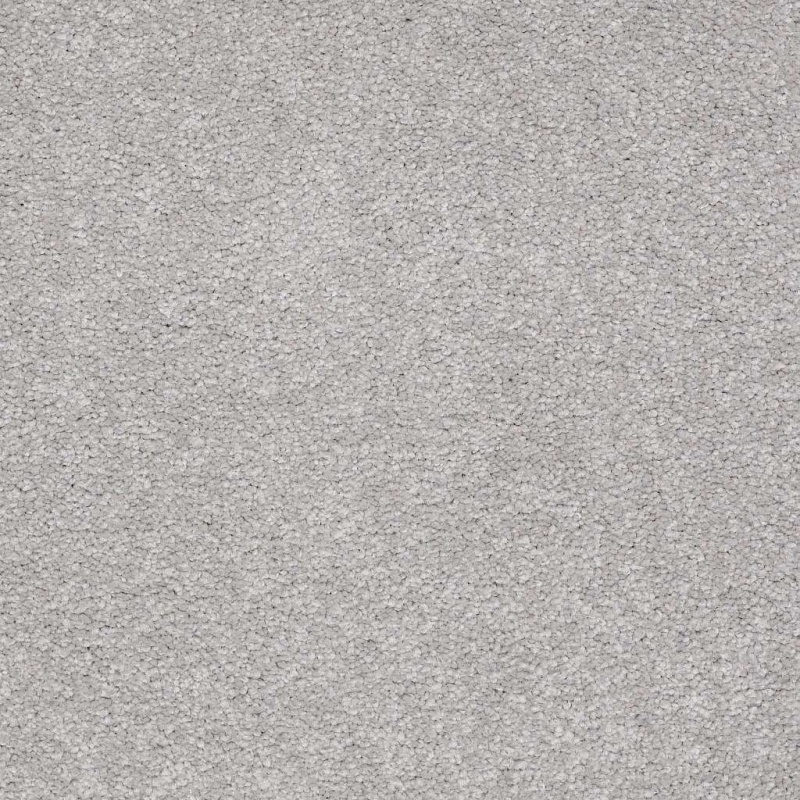 Magic At Last Iv 15' Nickel Nylon Carpet - Textured