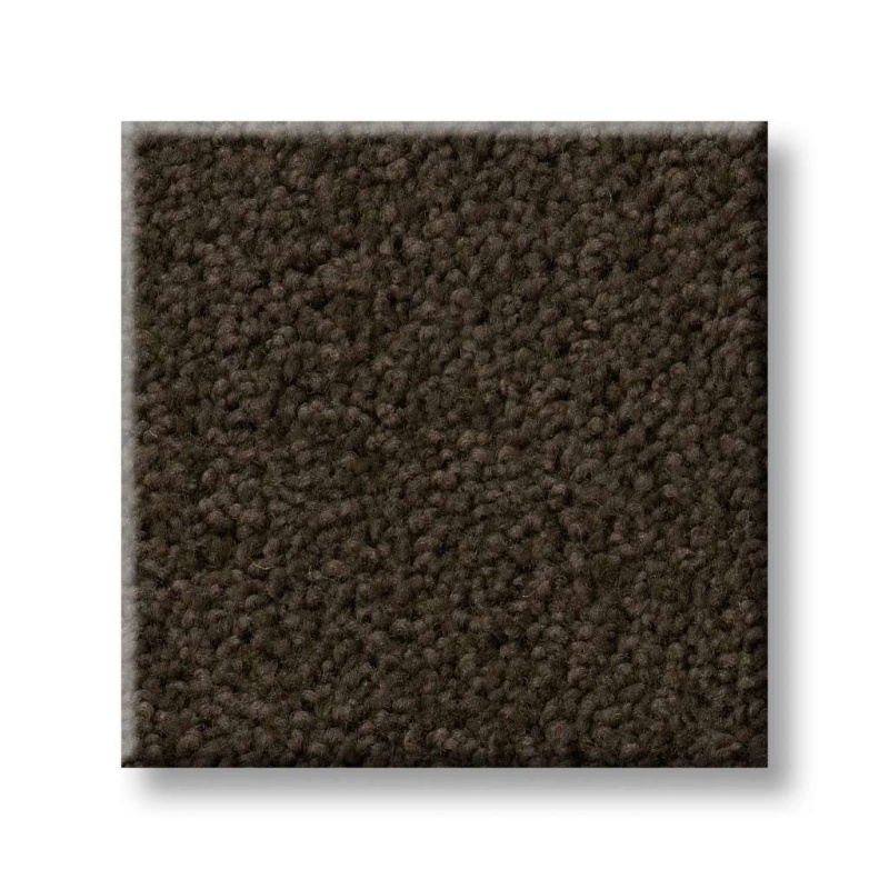 Origins Ii Buckeye Nylon Carpet - Textured