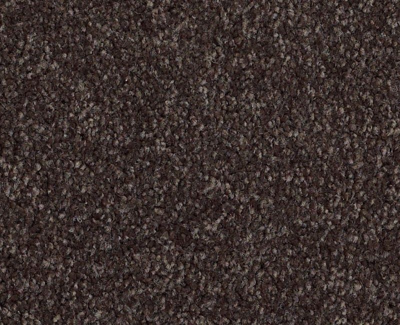 Anso Open Ii (S) Cabot Trail Nylon Carpet - Textured