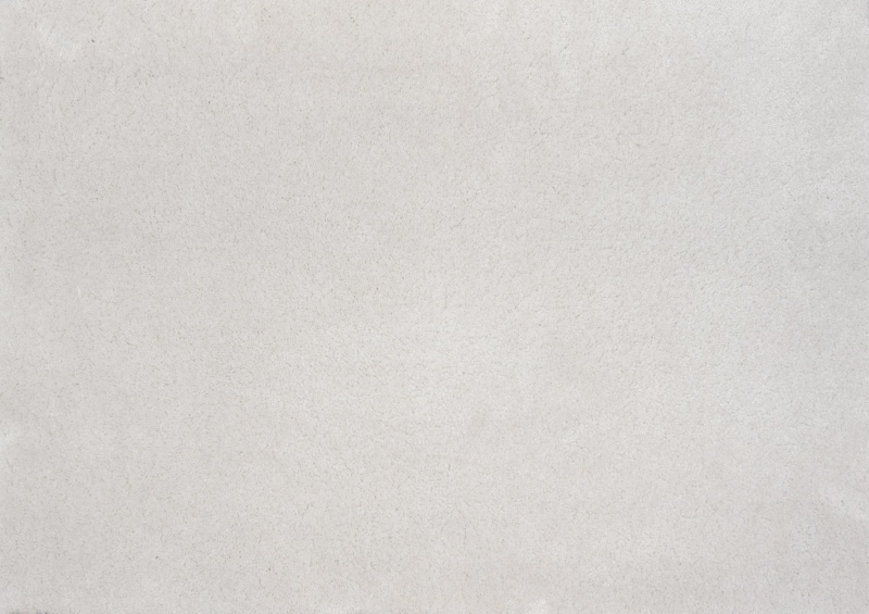 Textured Platinum Nylon Carpet 13'2" x 17'2"