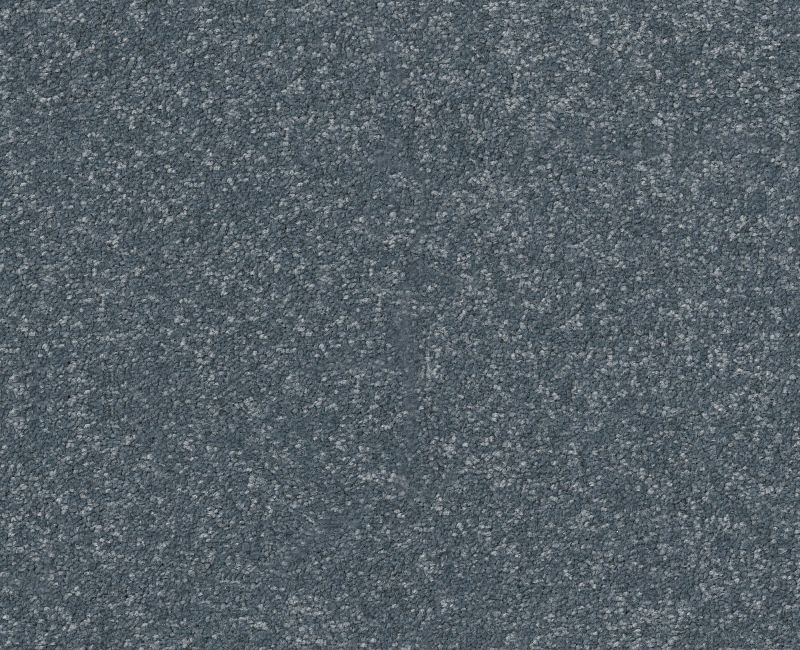 Pet Perfect Hard At Play Ii 15' Reflection Polyester Carpet - Textured