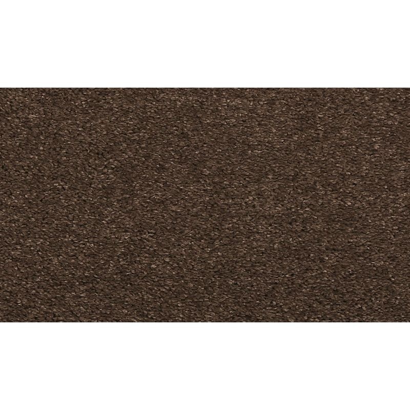 Luxuriant Life Fortress Triexta Carpet - Textured