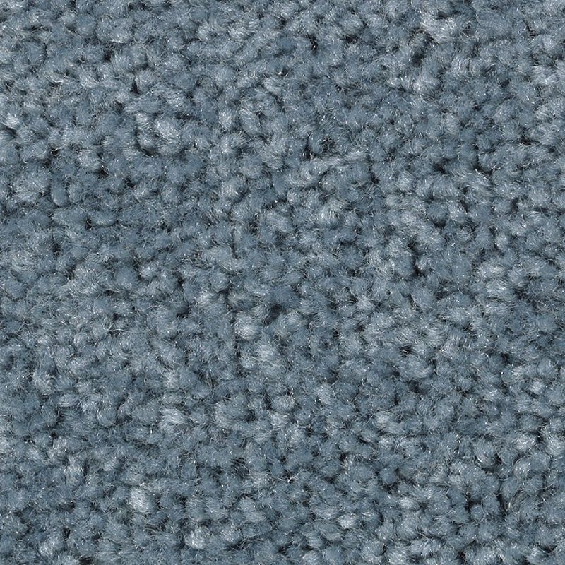 Treasure Valley Brisk Polyester Carpet - Textured