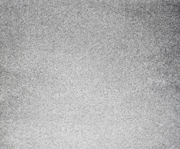 Atelier Marquee Starry Night Dove Nylon Blend Carpet - Textured