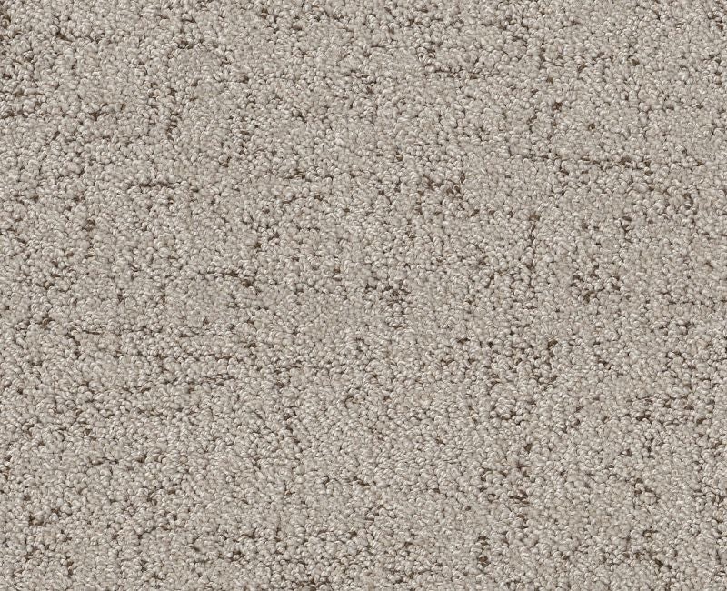 Running Wild River Birch Polyester Carpet - Textured
