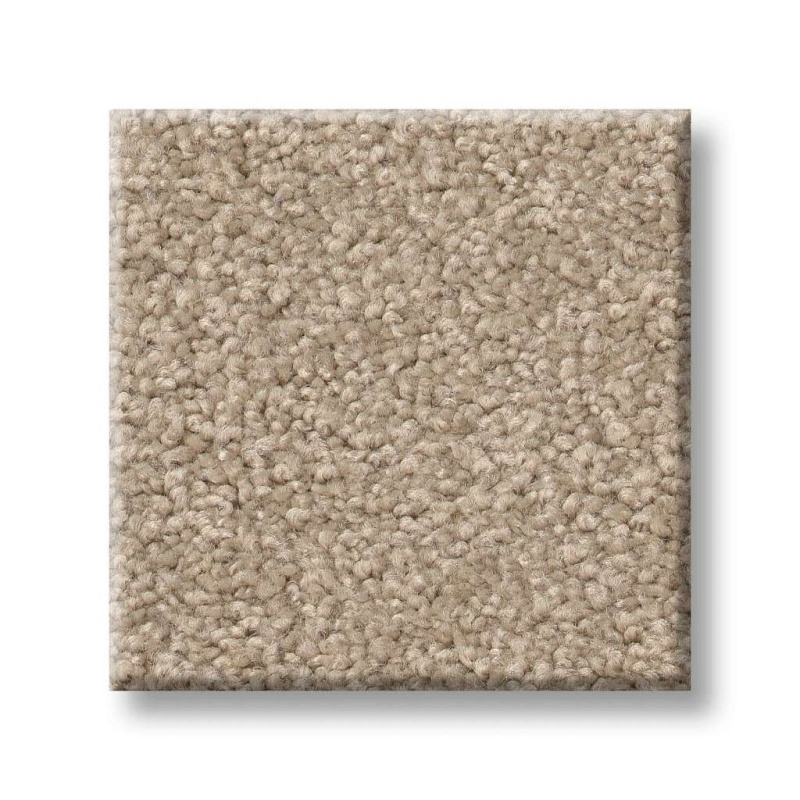 Origins II Ice Coffee Nylon Carpet - Textured