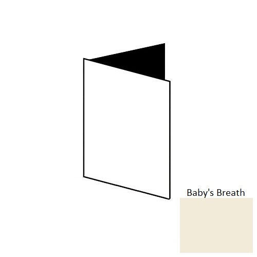 Vcb Babys Breath Vinyl Moulding / Trim
