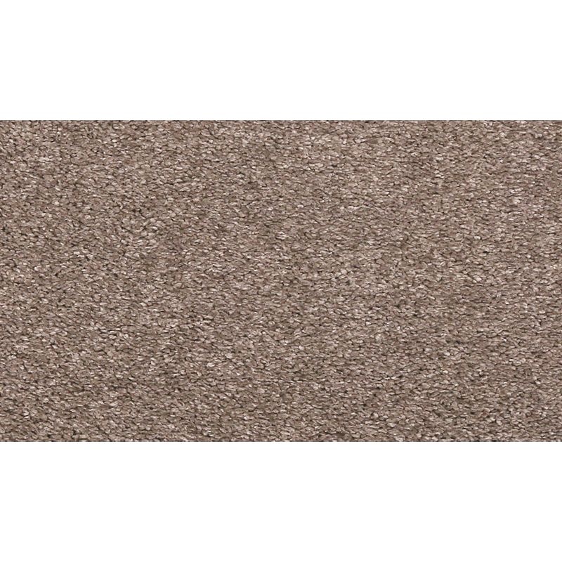 Luxuriant Feel Moonrock Triexta Carpet - Textured
