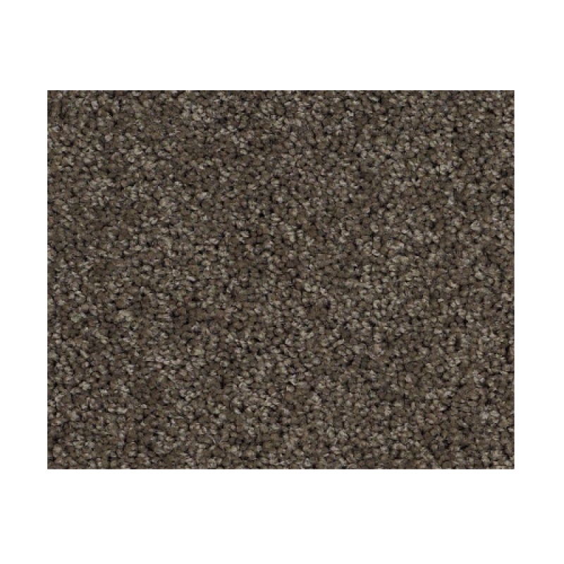 Dawning Graphite Nylon Carpet - Textured