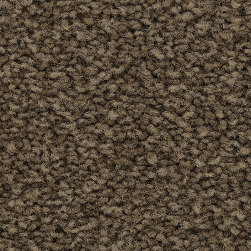 Coastal Fashion I Treasure Chest Nylon Carpet - Textured