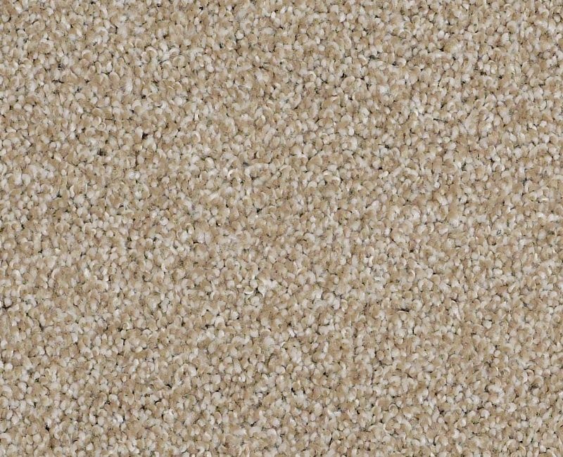 Always On Time Biscotti Nylon Carpet - Textured