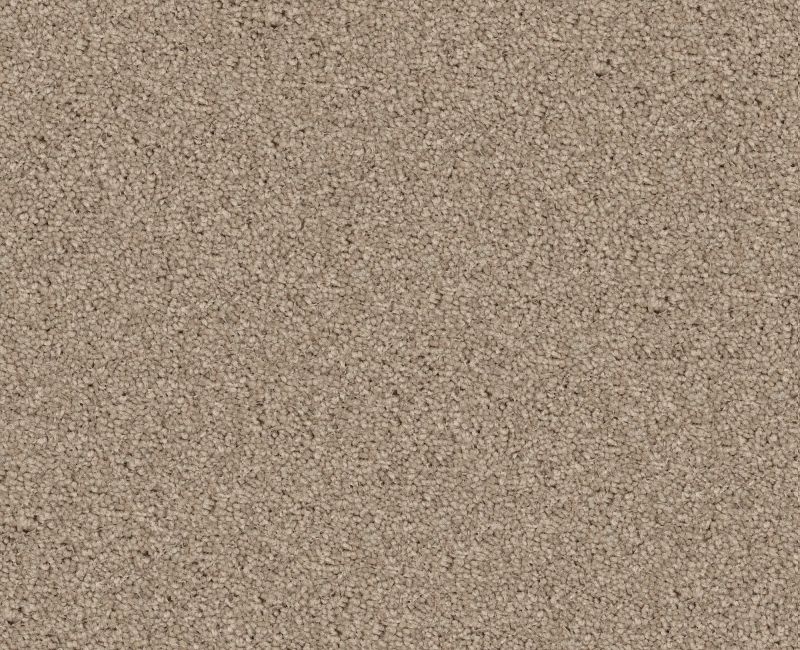 Nantucket Summer 12' Dove Polyester Carpet - Textured