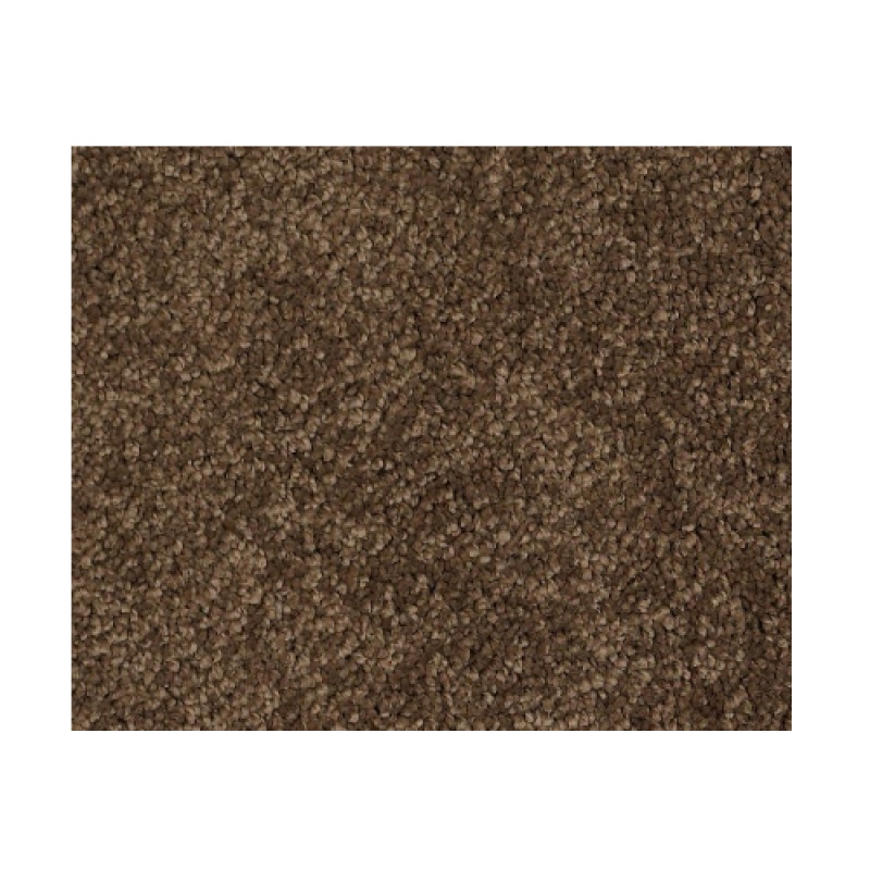 Castle Pv I Bison Nylon Carpet - Textured