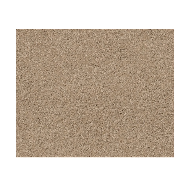 Dawning Dunes Nylon Carpet - Textured