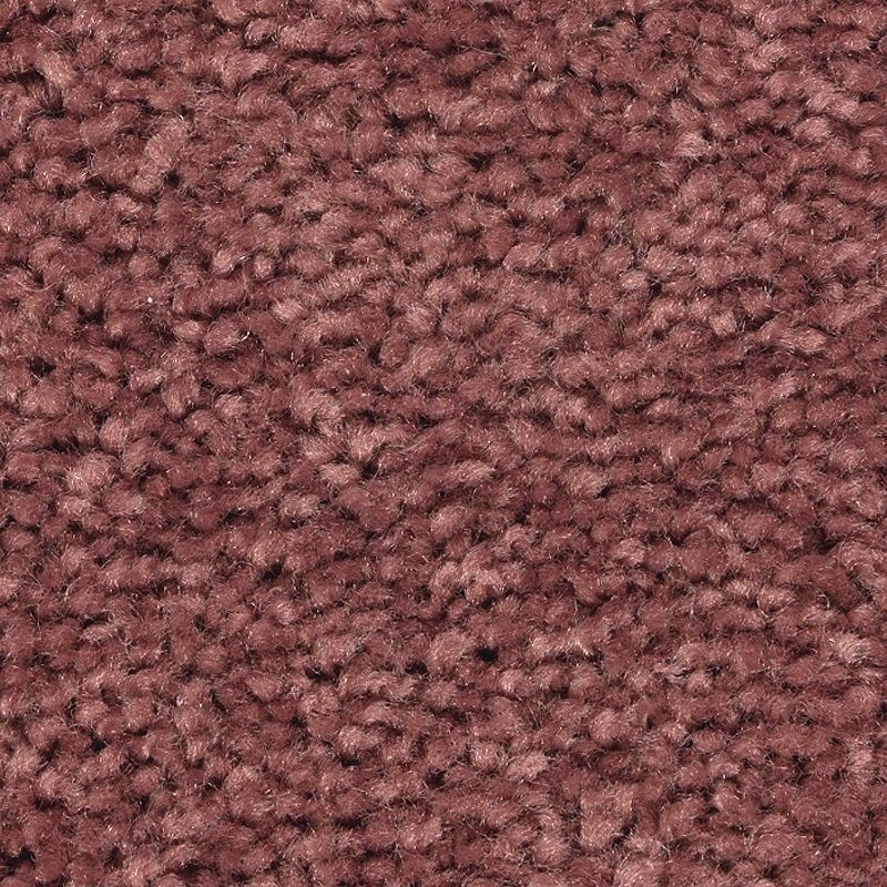 Treasure Valley Intrigue Textured Polyester Carpet