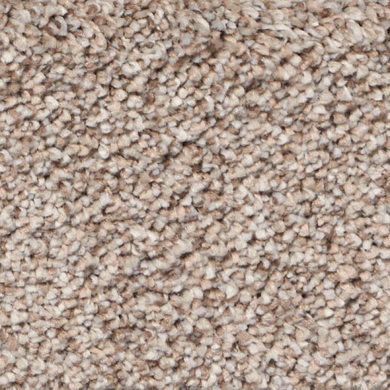Exalted Prime Infamous Polypropylene Carpet - Textured