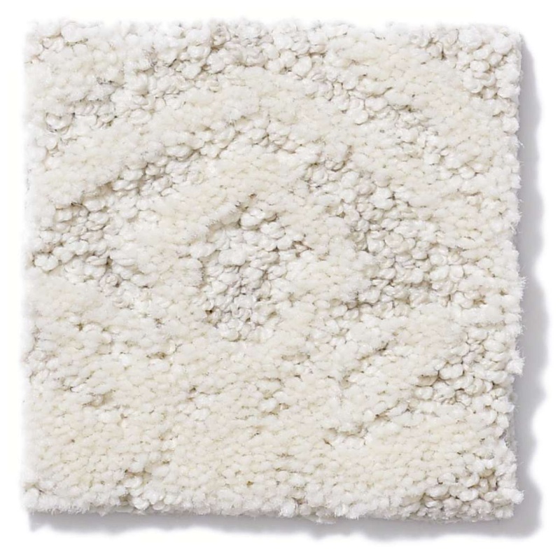 Caress By Shaw Modern Amenities Icelandic Nylon Carpet - Pattern