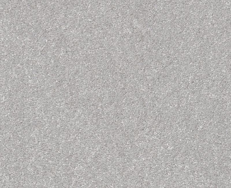 Off The Leash I 12 Lilac Gray Polyester Carpet - Loop