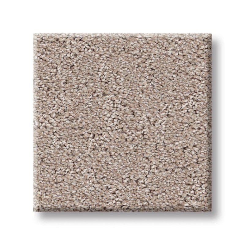 Pet Perfect Plus Secret Adventure Baja Polyester Carpet - Loop