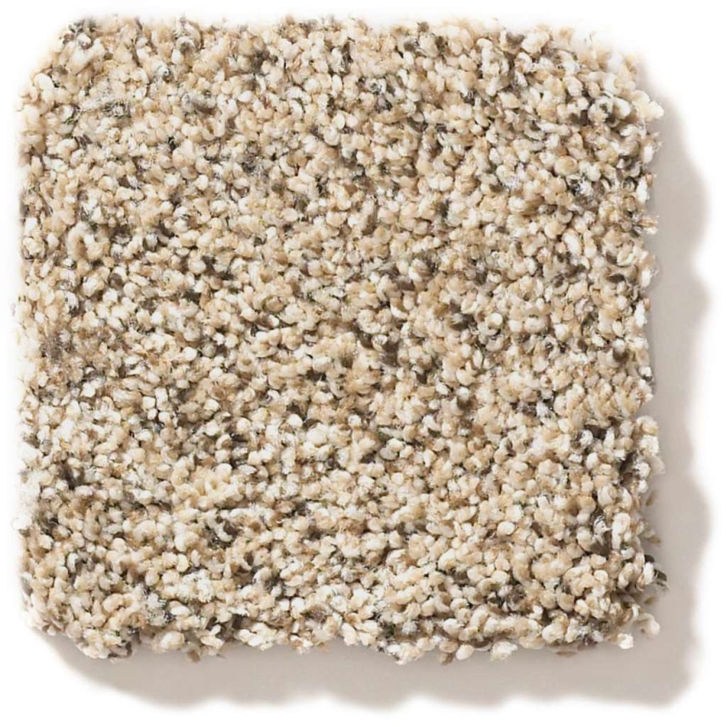 Foundations Elemental Mix Iii Sand Castle Nylon Carpet - Textured