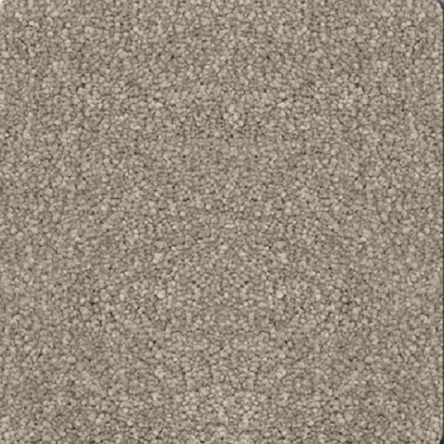 Momentum II True Gray Polyester Carpet