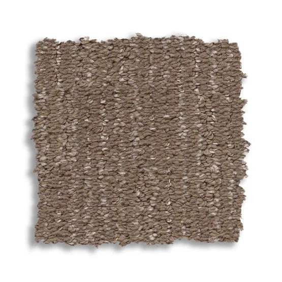 Sneak Peek Caffeine Polyester Carpet