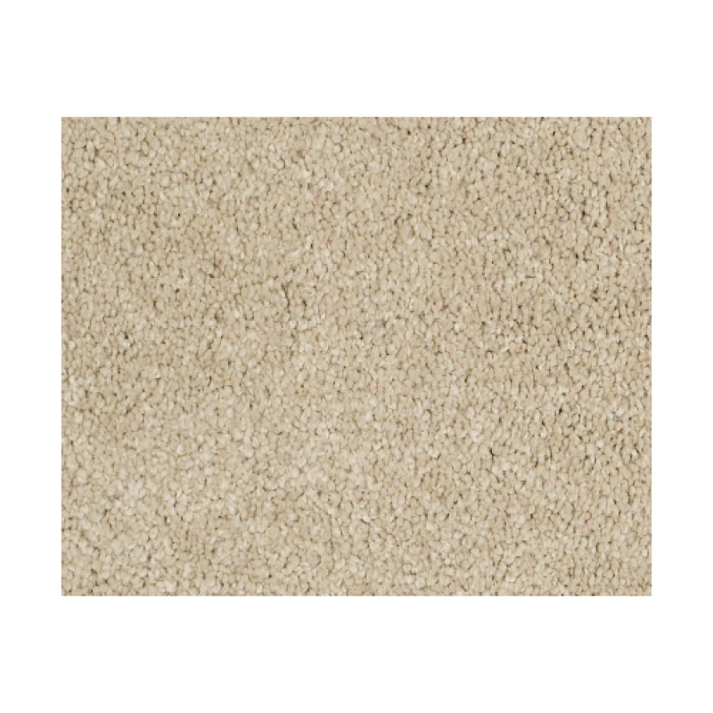 Castle PV I Gentle Doe Textured Nylon Carpet
