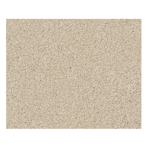 Sweet Inspiration I Net Natural Cotton Nylon Carpet - Textured