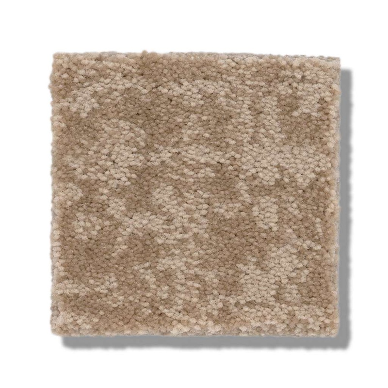 Caress By Shaw Fine Structure Natural Beauty Nylon Carpet - Pattern