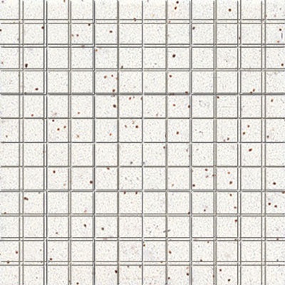 Unglazed Mosaics Clearface Salt & Pepper Porcelain Mosaic - 1" X 1" - Unglazed