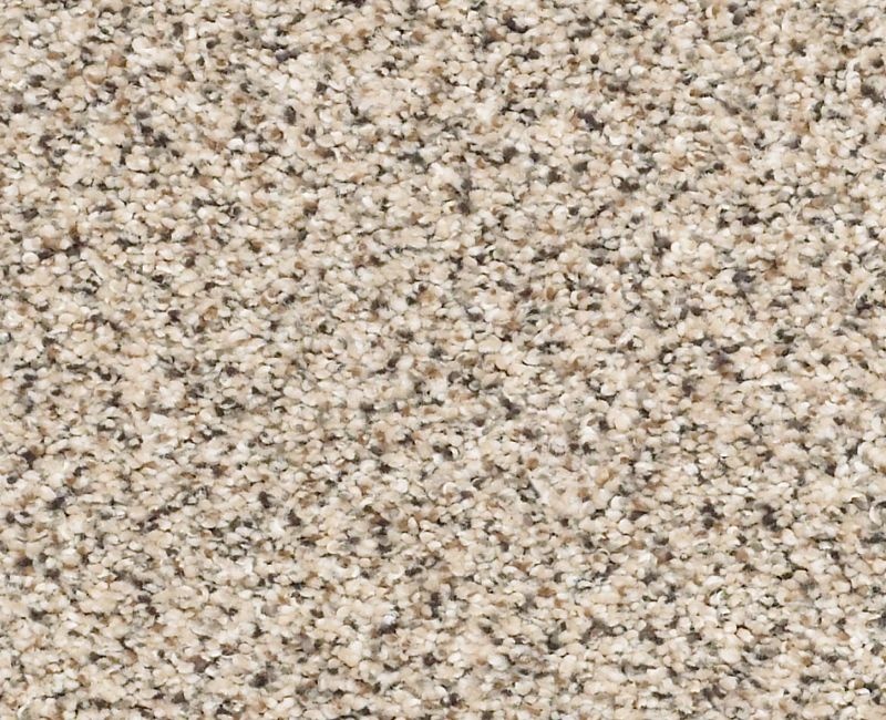 Color Express Accent Ii Luna Nylon Carpet - Loop