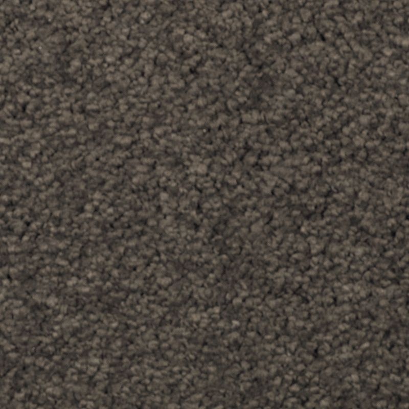 Natural Splendor Ii Wrought Iron Triexta Carpet - Textured