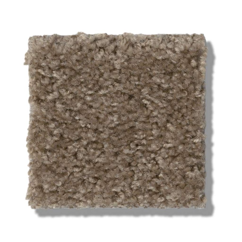 Play Hard Mocha Froth Nylon Carpet - Textured