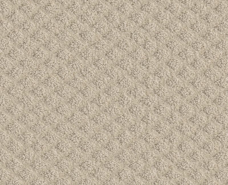 Born To Run Canvas Nylon Carpet - Pattern