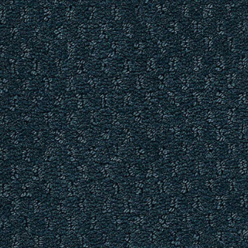Influencer Classic Update Blue Flannel Nylon Carpet – Loop