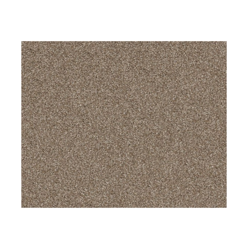 Bountiful Beauty Sombrero Nylon Carpet - Textured