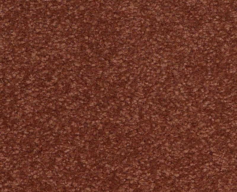 Bright Spirit III 12' Spanish Tile Nylon Carpet - Textured