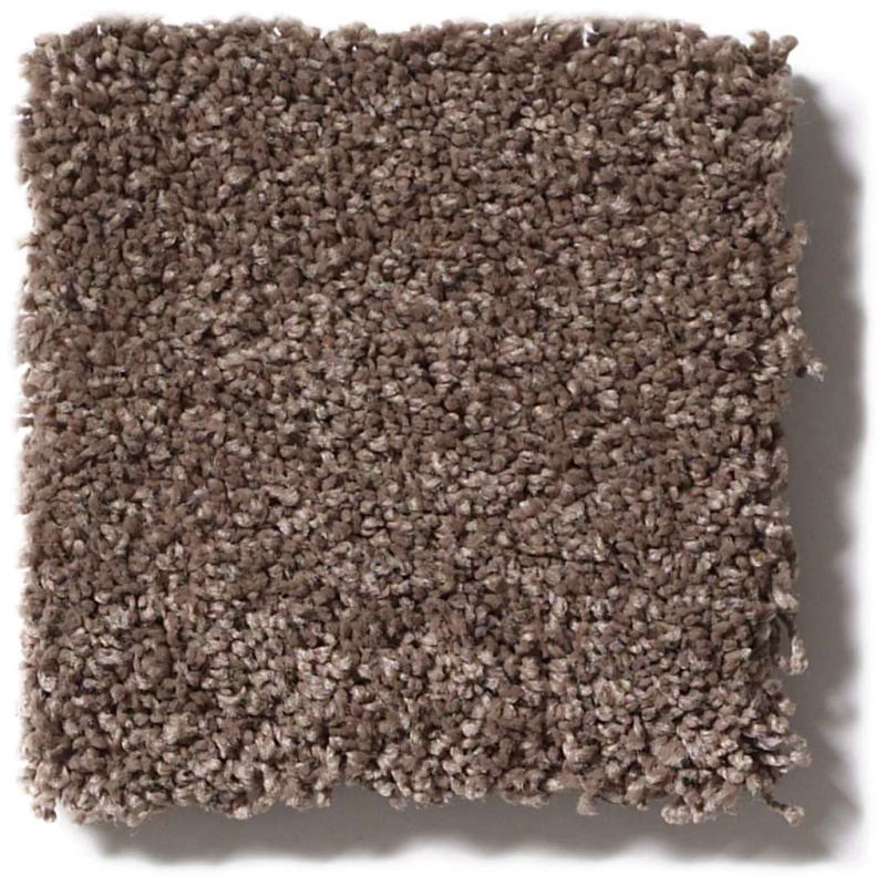 Caress By Shaw Quiet Comfort Classic Iii Spring Wood Nylon Carpet - Textured