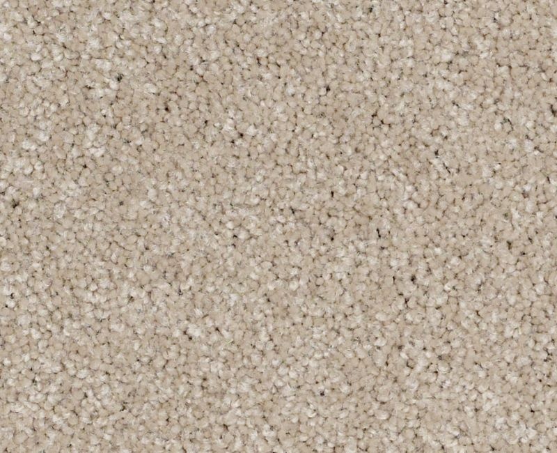 Anso Open Iii (S) French Canvas Nylon Carpet - Textured