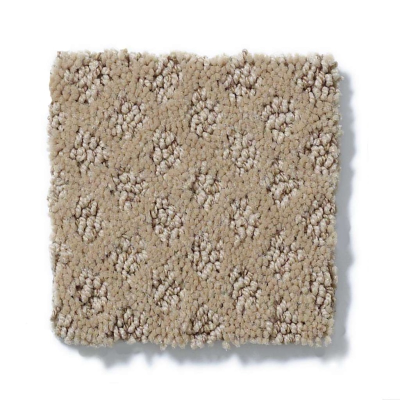 Caress By Shaw My Expression Carnoustie Nylon Carpet - Pattern