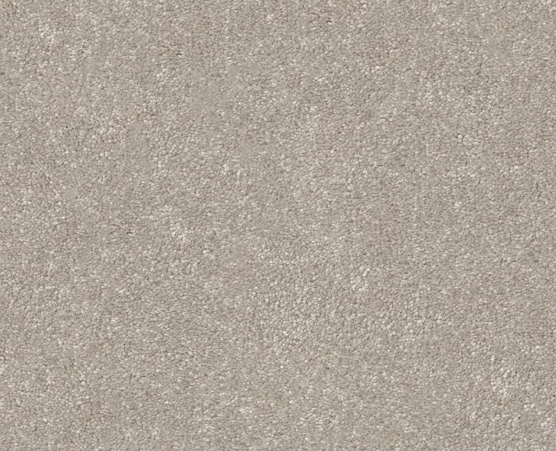 Pet Perfect Hard At Play Ii 15' Sculpture Polyester Carpet - Textured