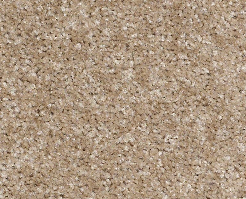 Ironworks Papoose Nylon Carpet - Textured