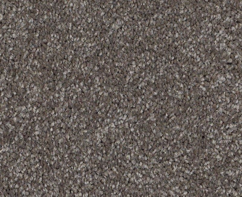 Anso Open Ii (S) Stone Hearth Nylon Carpet - Textured