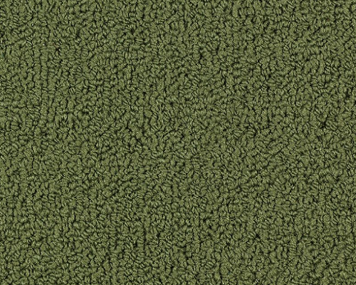 Color Accents Bl Cactus Nylon Carpet - Loop