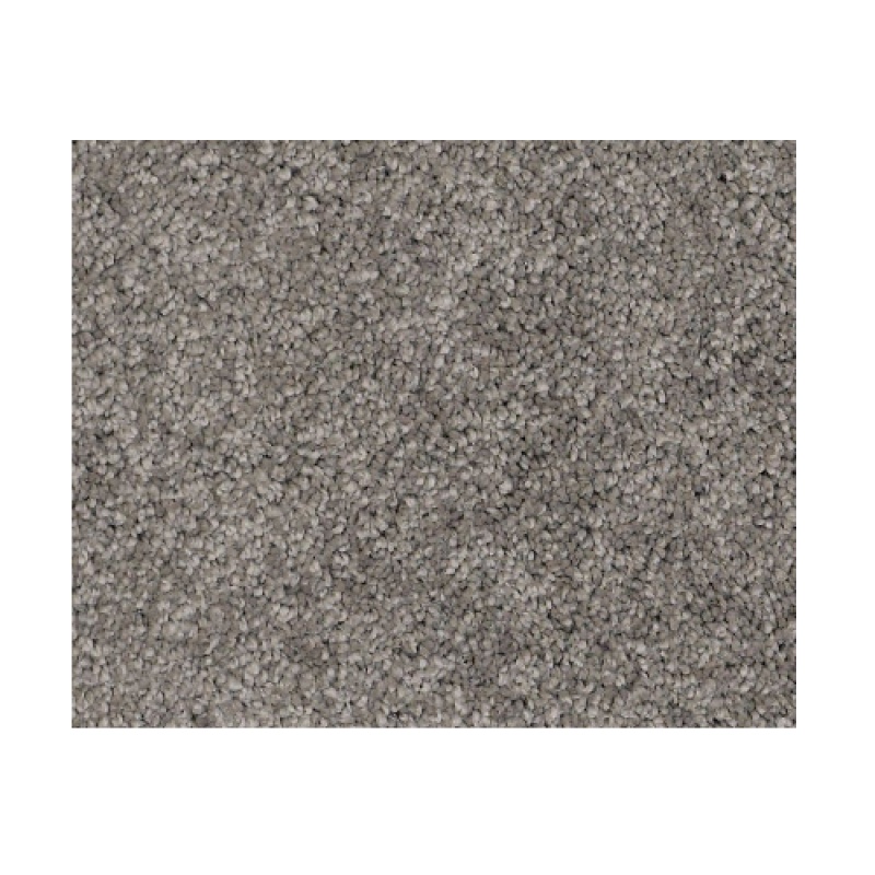 Castle Pv Ii Chinchilla Nylon Carpet - Textured